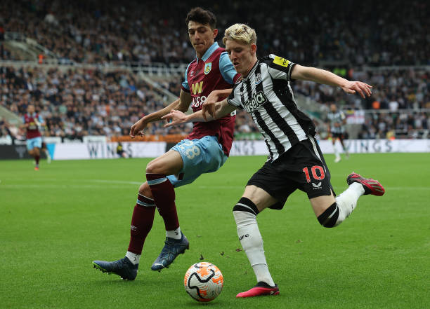 甚至表示 甚至表示